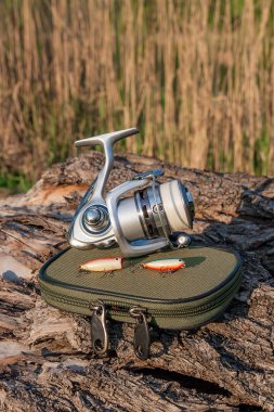 Balıkçılık Reel ve çeşitli yemler doğal zemin üzerine tür