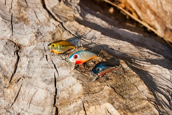 Vue rapprochée de différents types d'appâts sur le fond naturel — Photo