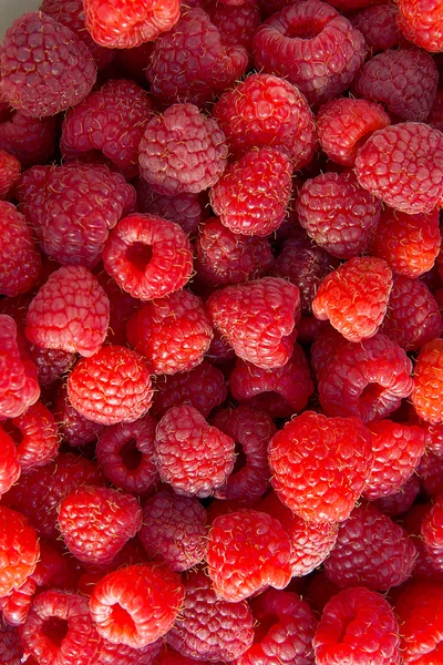 Close up of the ripe raspberry as background. — Stock Photo, Image