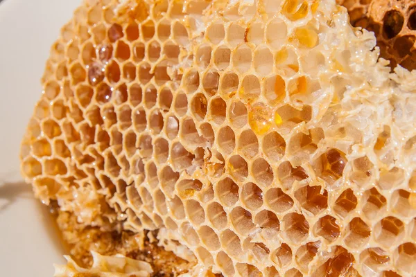 Stäng upp honungskaka med söt honung. — Stockfoto