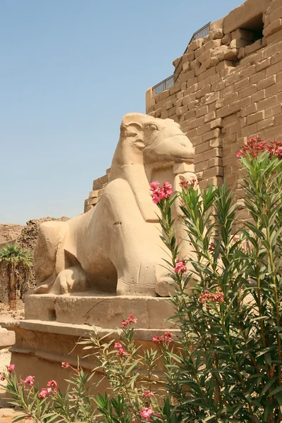 Statue aus Ägypten — Stockfoto