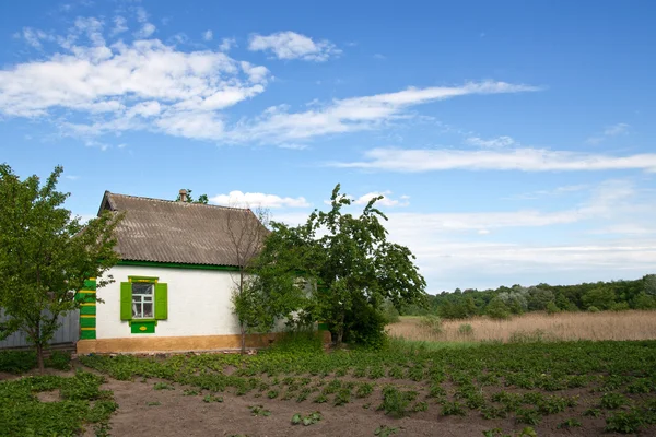 Casa de aldeia tradicional com um jardim — Fotografia de Stock