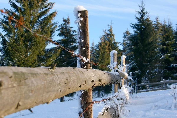 Alambre de púas en la cerca de madera . —  Fotos de Stock