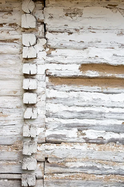 Houten muur van stammen als achtergrond textuur — Stockfoto