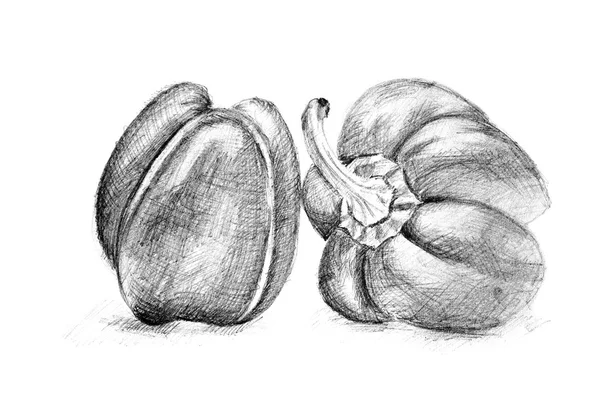Original pencil drawing by the pepper. — Stock Photo, Image