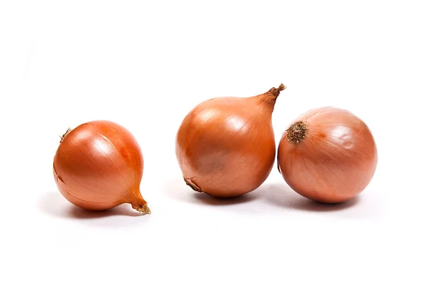 Three onion bulbs isolated on white background — Zdjęcie stockowe