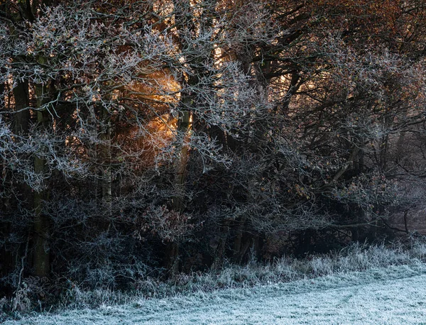 Frithsden Polisi Ashridge Malikanesi Nin Bir Parçası — Stok fotoğraf