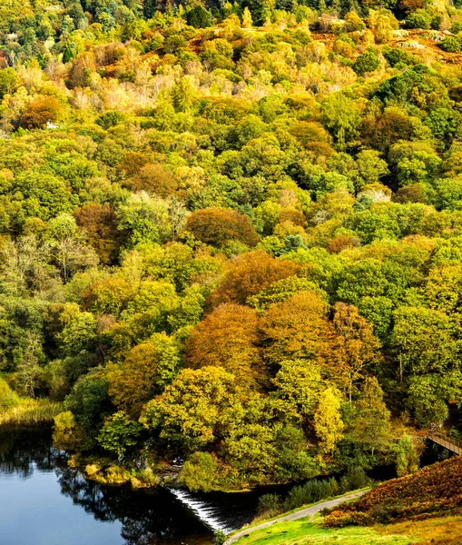 Lago Grasmere Loughrigg Terrace — Fotografia de Stock