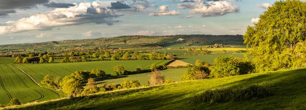 Chiltern Downs Seen Ivinghoe Beacon — Stock Photo, Image
