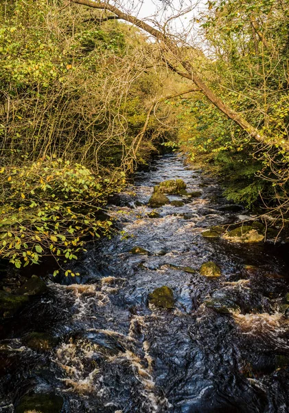 Trilha Cachoeira Ingleton Yorkshire Dales — Fotografia de Stock