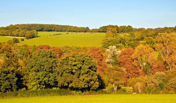 Vale Xadrez Buckinghamshire Outono — Fotografia de Stock
