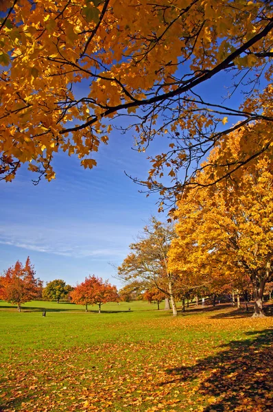 Herfstkleuren Gadebridge Park Hemel Hempstead — Stockfoto