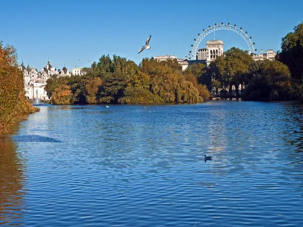 James Park Znajduje Się Samym Sercu Londynu Pobliżu Pałacu Buckingham — Zdjęcie stockowe