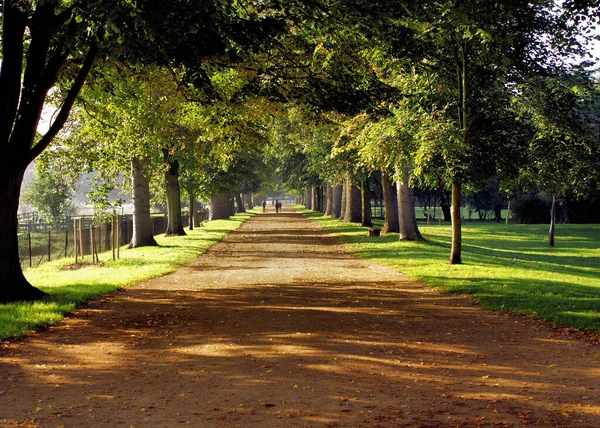 Vägen Från Broad Walk Som Korsar Merton Field Och Som — Stockfoto