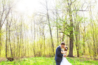 sarılma ve öpüşme Düğün çifti