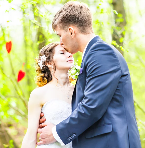 Свадьба, красивая романтическая невеста и жених поцелуи и объятия на открытом воздухе — стоковое фото