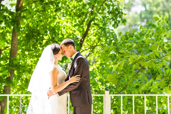 Casal lindo está gostando do casamento — Fotografia de Stock
