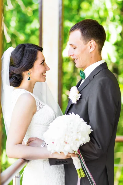Gyönyörű menyasszony és vőlegény.. — Stock Fotó