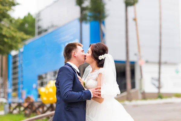 Matrimonio, Bella sposa romantica e sposo baciare e abbracciare . — Foto Stock