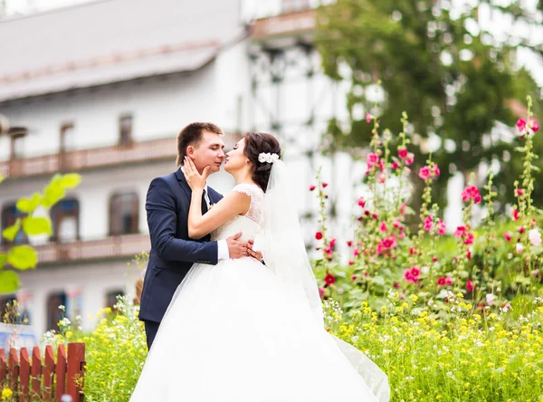 Sposa e sposo — Foto Stock