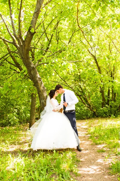 Belle mariée et marié debout dans l'herbe et embrasser. Couple de mariage — Photo