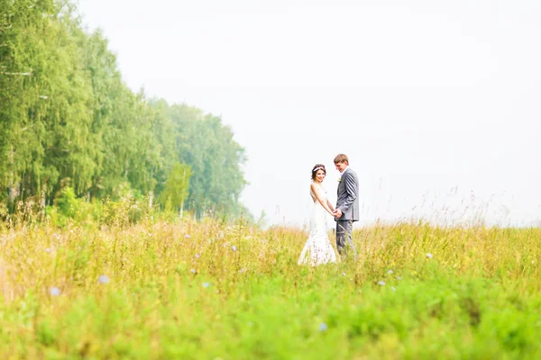 아름 다운 신부 그리고 잔디에 서 있는 신랑입니다. 결혼식 한 쌍 — 스톡 사진
