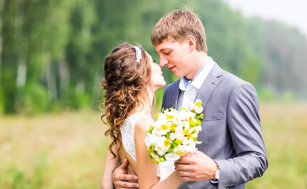 Bella sposa e lo sposo in piedi in erba e baci. Matrimonio coppia — Foto Stock