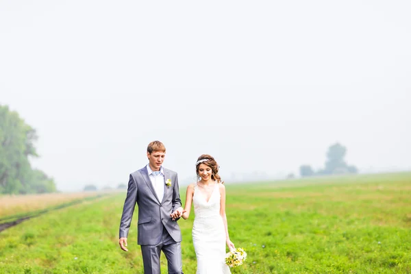 Casal de casamento jovem andando em campo — Fotografia de Stock