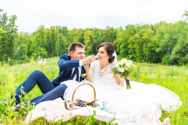 Gelin ve damat bir parkta piknik üzerinde