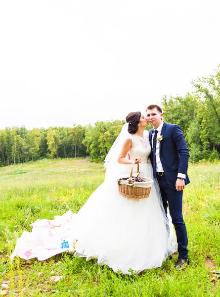 Noiva feliz bonita elegante e noivo, celebrações de casamento — Fotografia de Stock