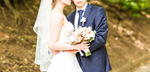 Свадьба, красивая романтическая невеста и жених обнимает — стоковое фото