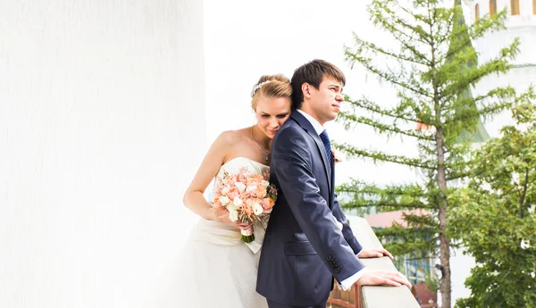 Casamento, bela noiva romântica e noivo Abraçando — Fotografia de Stock