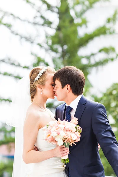 Свадьба, красивая романтическая невеста и поцелуи жениха — стоковое фото