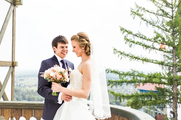 Düğün, güzel romantik gelin ve damat — Stok fotoğraf