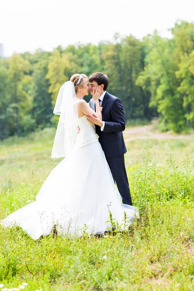 Esküvő, a gyönyörű romantikus menyasszony és a vőlegény, csók — Stock Fotó