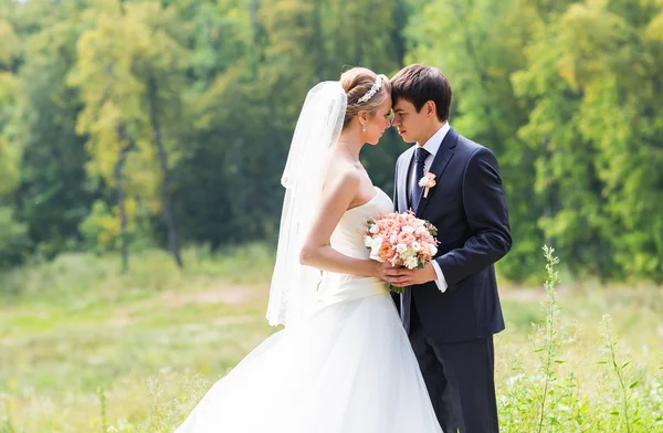 Boda, Hermoso momento romántico de novia y novio —  Fotos de Stock