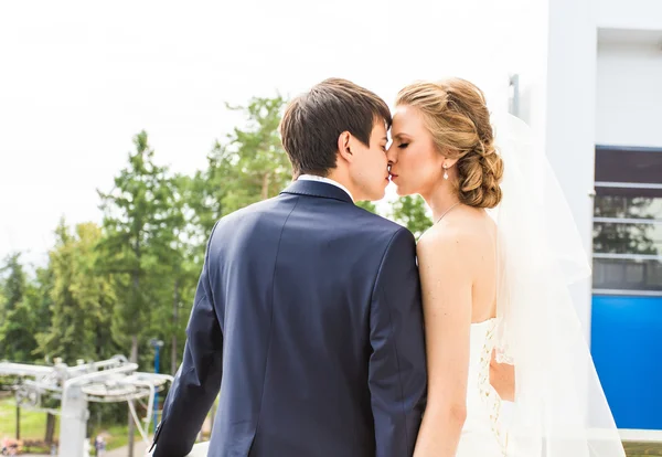 Boda, hermosa novia romántica y novio besos —  Fotos de Stock