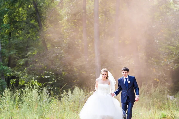 Couple de mariage avec fumée de couleur dans le parc d'été . — Photo
