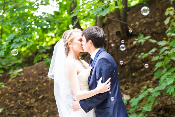 Весілля, красива романтична наречений і наречена ціл — стокове фото