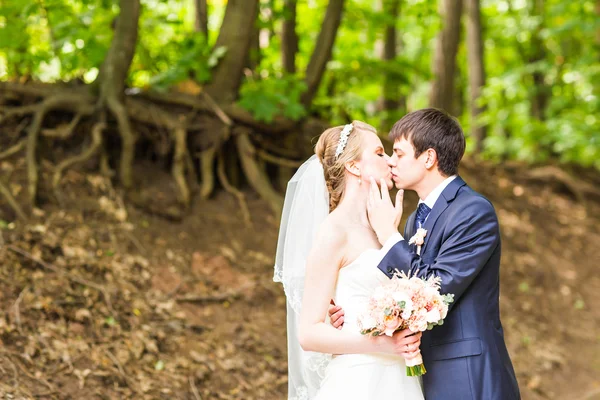 Boda, hermosa novia romántica y novio besos —  Fotos de Stock