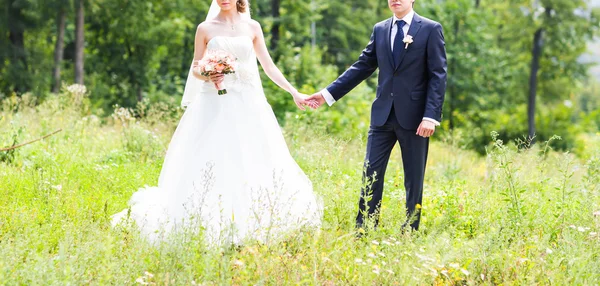 Brud- och brudgummen håller händerna utomhus — Stockfoto
