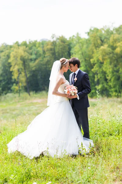 Bröllop, vackra romantiska bruden och brudgummen Embracing — Stockfoto