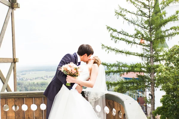 Boda, hermosa novia romántica y novio besos — Foto de Stock