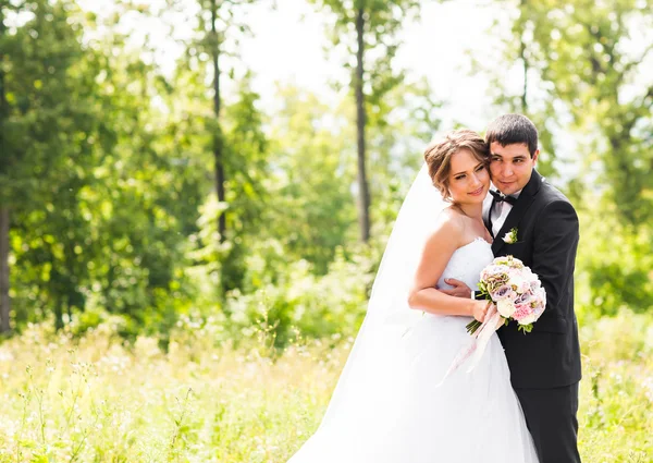 Joven pareja de boda disfrutando de momentos románticos fuera en un prado de verano — Foto de Stock