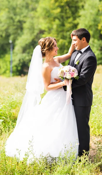 Junges Hochzeitspaar genießt romantische Momente im Freien auf einer Sommerwiese — Stockfoto