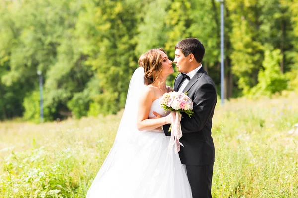 Young wedding couple enjoying romantic moments outside on a summer meadow — Stock Photo, Image