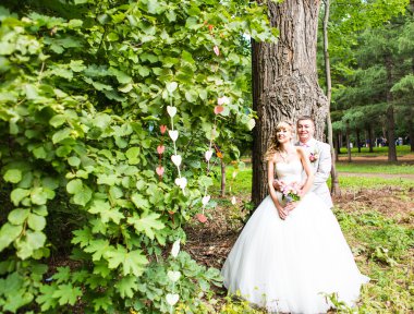 Bir yaz parkın dışında romantik anları zevk genç Düğün çifti