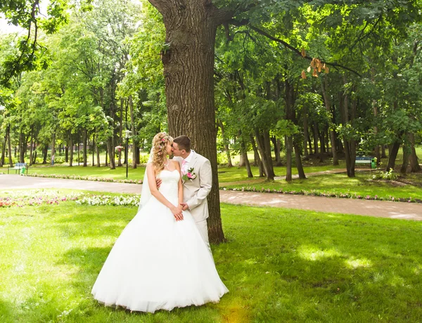 Jonge bruidspaar genieten van romantische momenten buiten op een zomer park — Stockfoto