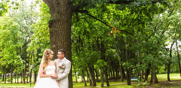 Joven pareja de novios disfrutando de momentos románticos en un parque de verano —  Fotos de Stock