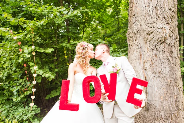 Hermosos recién casados está disfrutando de la boda —  Fotos de Stock